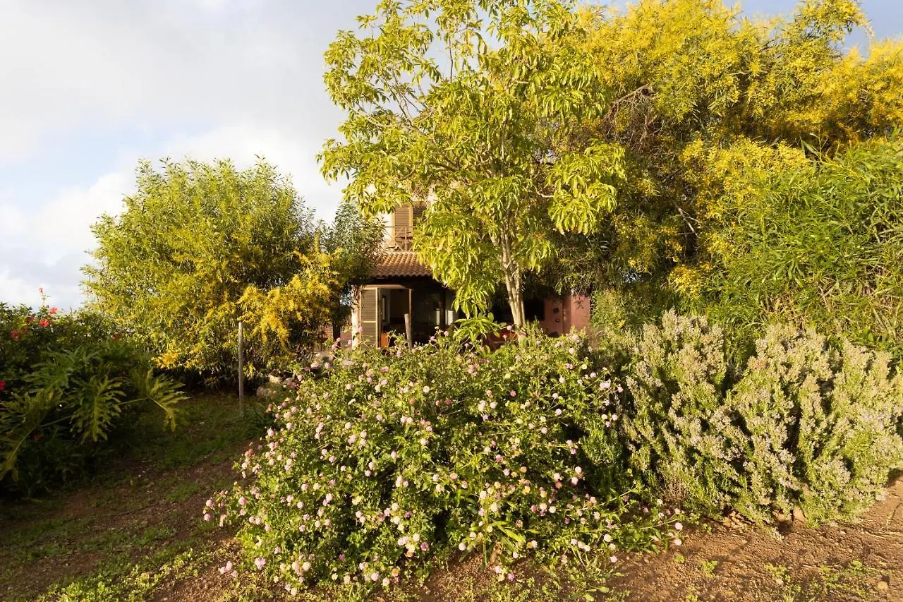 Home2Book Amazing Teide View & Terrace ساوزال