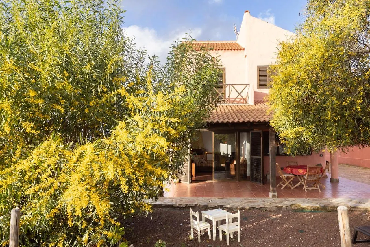 Home2Book Amazing Teide View & Terrace ساوزال 0*,  إسبانيا